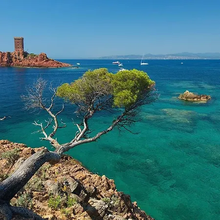 Le Saint Louis Toulon
